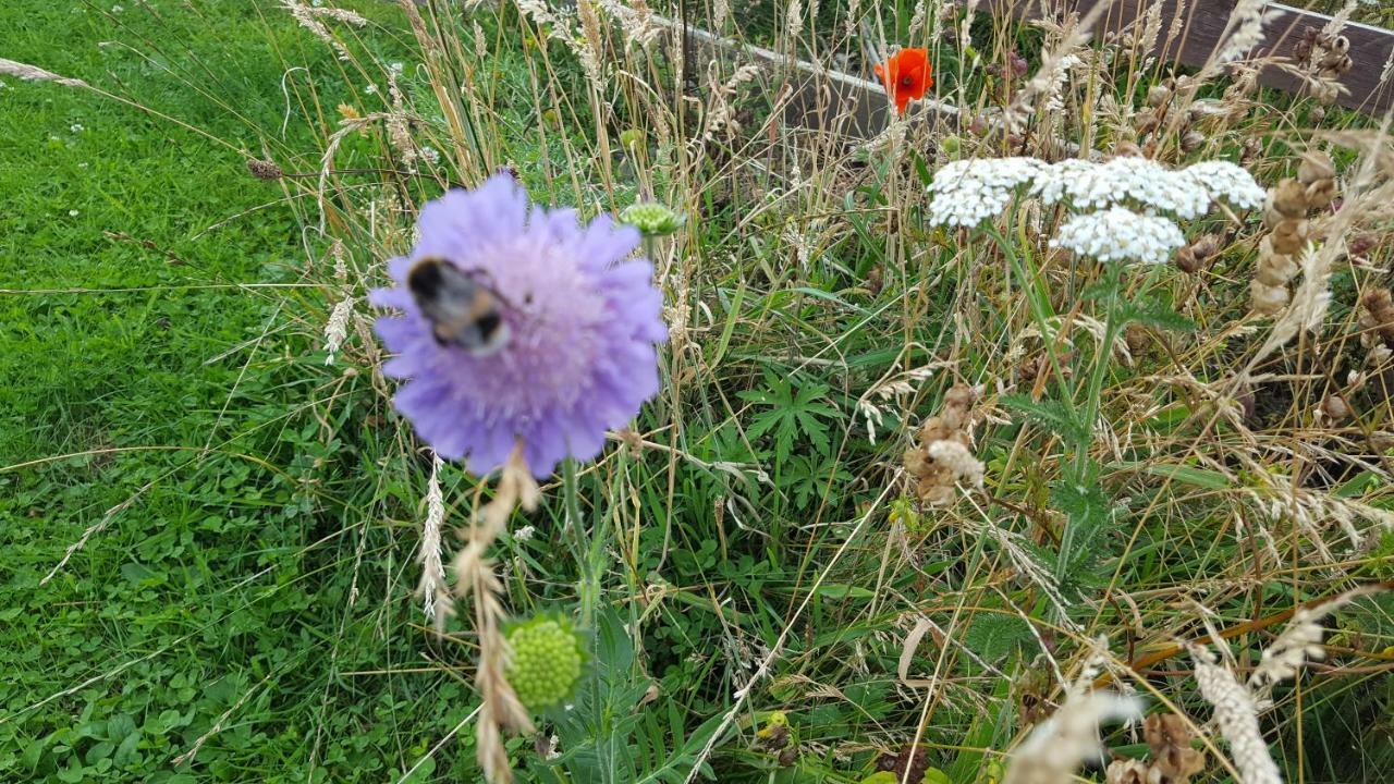 Wester Blackpark Farm Inverness Eksteriør billede